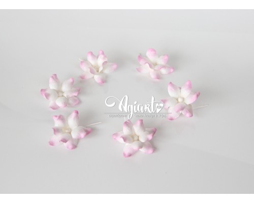 Фиалки "розовые с белым", 5 шт 