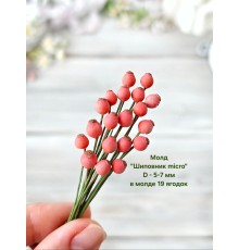 Молд "Шиповник micro"