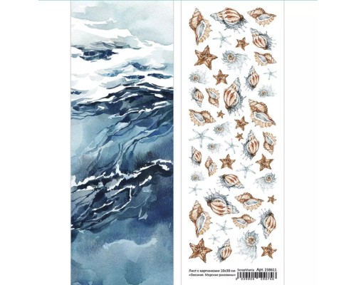 Лист с картинками 10х30 см "Океания. Морские раковины" (ScrapMania)