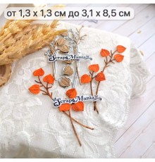 Нож для вырубки "Длинные растения. Ветки физалиса", ScrapMania