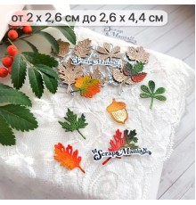 Нож для вырубки "Листья леса. Гербарий дубок", ScrapMania