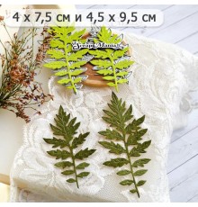 Нож для вырубки "Василек подбеленный. Листья", ScrapMania