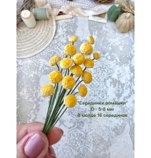 Молд "Серединки ромашки"