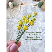 Молд "Серединки пиона"