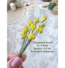 Молд "Серединки пиона"
