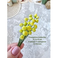 Молд "Серединки скабиозы"