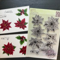 Набор штампов "Пуансеттии" от AgiArt
