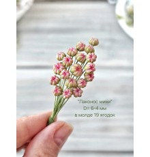 Молд "Лаконос мини"