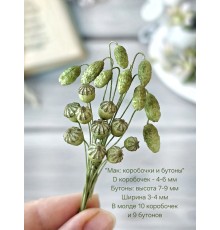 Молд "Мак: коробочки и бутоны"