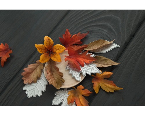 Набор штампов "Осенние листья" от AgiArt
