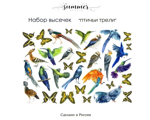 Набор высечек "Птичьи трели", Summer Studio