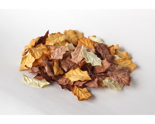 Листья остролиста "Осенний микс", 4,5*2,5 см, 10шт