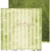 Набор бумаги "Green Mood" 20,3 х 20,3 см., 5 листов, 1/3 набора, Craft O'Clock