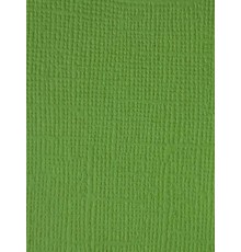 Картон текстурированный "Блестящий желтовато-зеленый", 30,5*30,5 см.