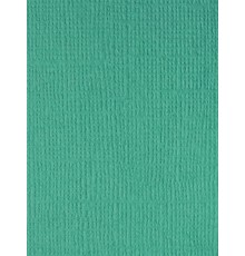 Картон текстурированный "Бело-зеленый", 30,5*30,5 см.