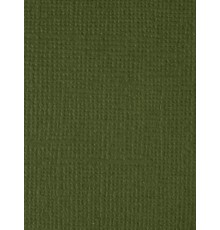 Картон текстурированный "Укроп", 30,5*30,5 см.