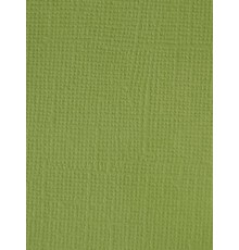 Картон текстурированный "Фисташковый", 30,5*30,5 см.