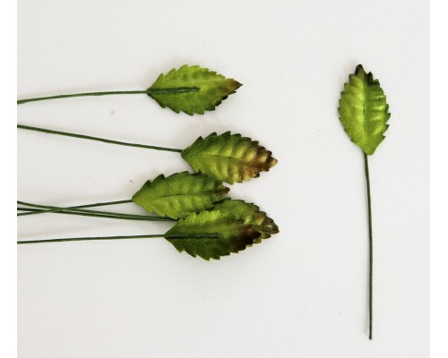 Листья шиповника зеленые, 3,5 см, 10шт