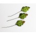 Листья шиповника зеленые, 3,5 см, 10шт